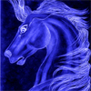 Tornado - Wild Horse