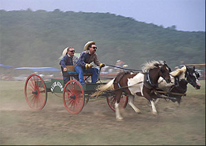 chuck wagon races