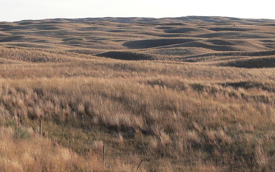 Grass-covered dunes of the Nebraska Sandhills