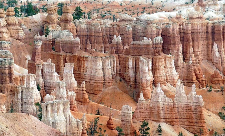 Hoodoo rock spires in Bryce Canyon National Park, Utah